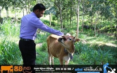 ෆේස්බුක් මිතුරියක් නිසා ජීවිතදානය ලද සඳා | Project 03 (Badulla)